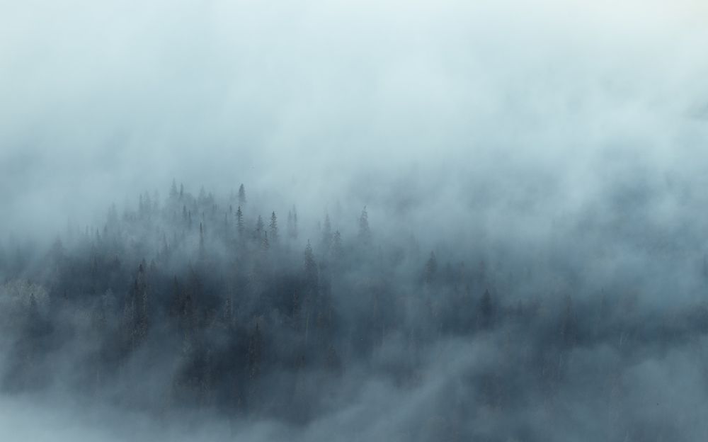 Photograph by Аслан Маргиев