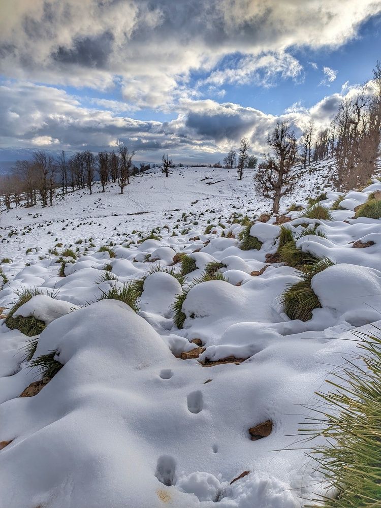 Photograph by Bilal Bechna