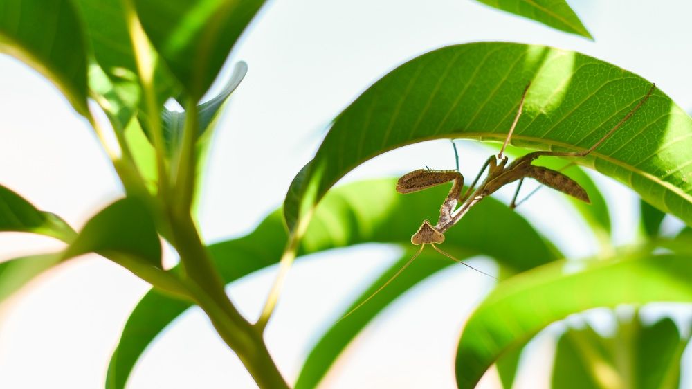 Photograph by Aser Osama