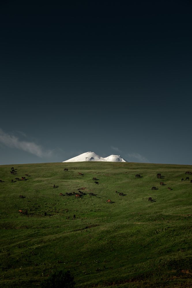 Photograph by Аслан Маргиев