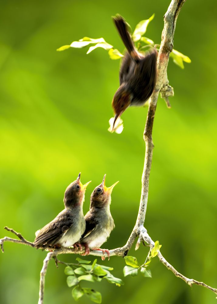 take care of children