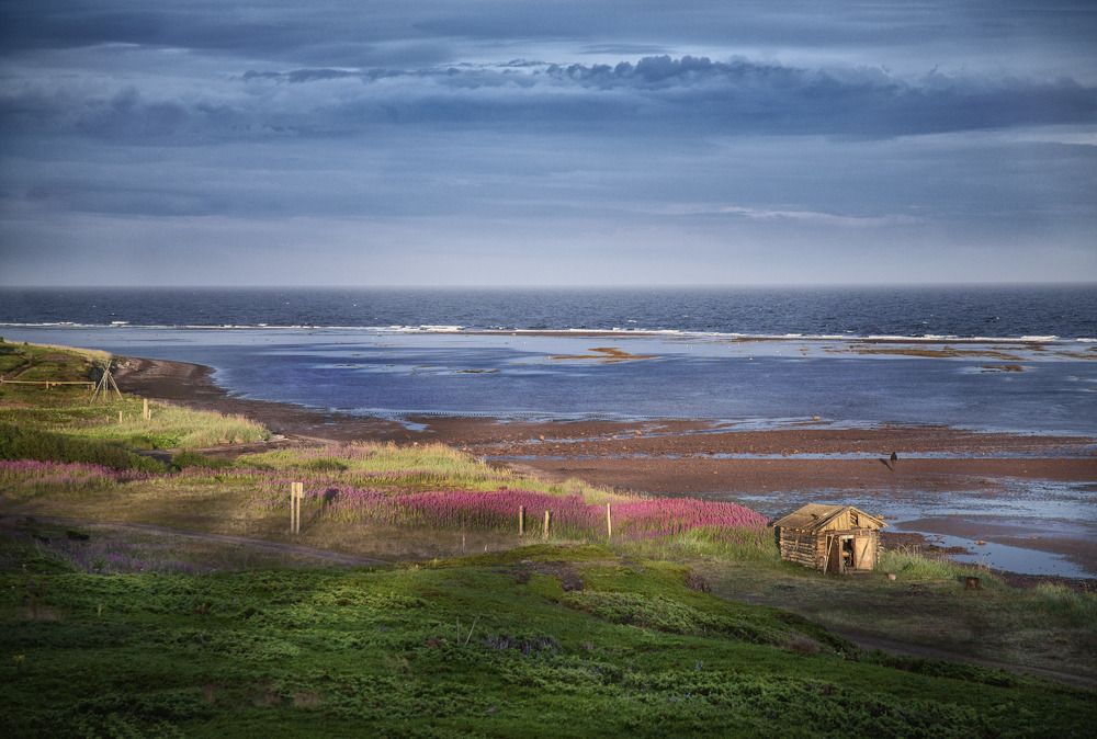 Фотография автора Дарья Могилевцева