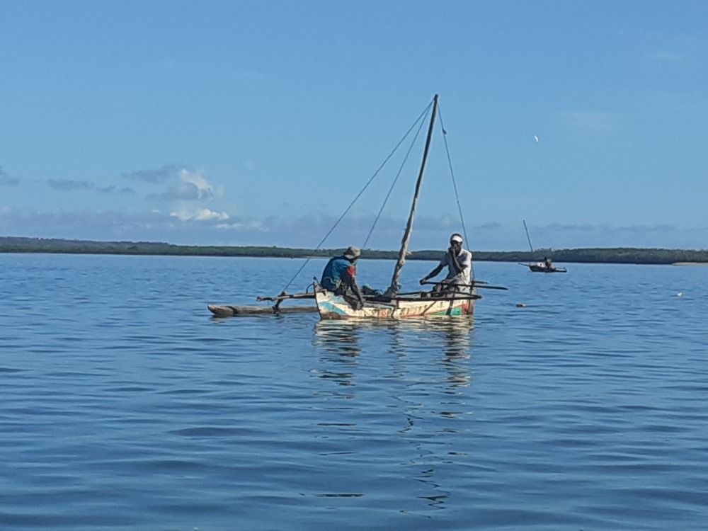 Photograph by Taylor VERIZA