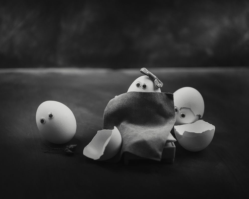 from the life of eggs