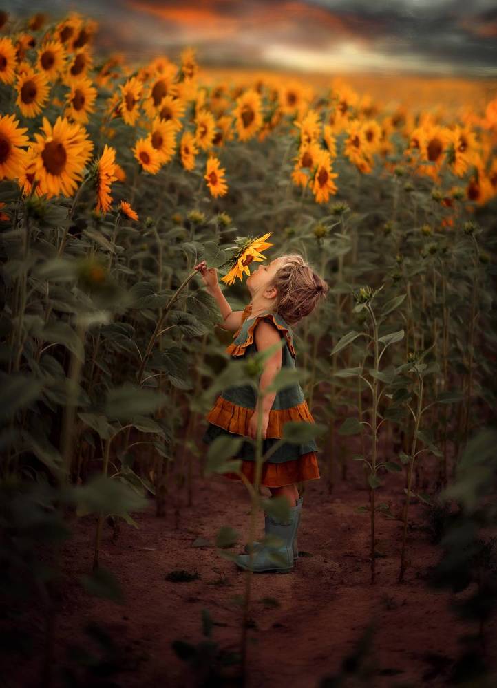 SUNFLOWERS-2022