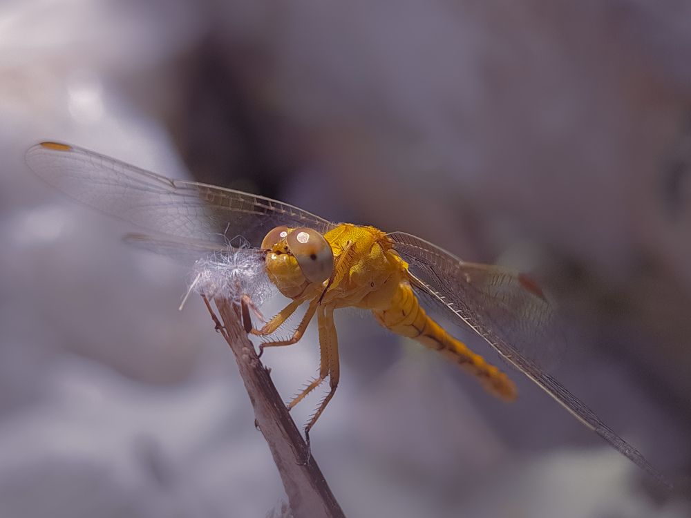 Photograph by Лариса Когтева