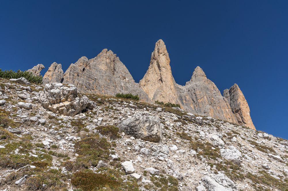 Photograph by Максимова Дария