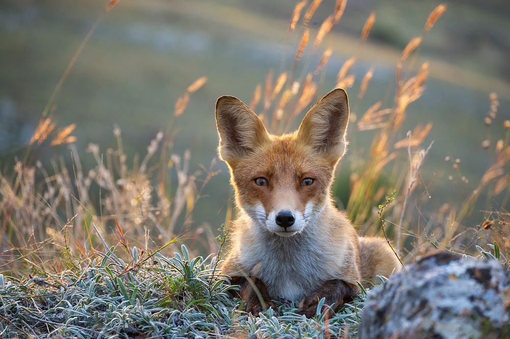 Photograph by Татьяна Жеребцова