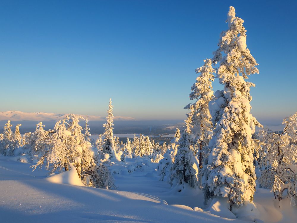 Photograph by Константин Пешков