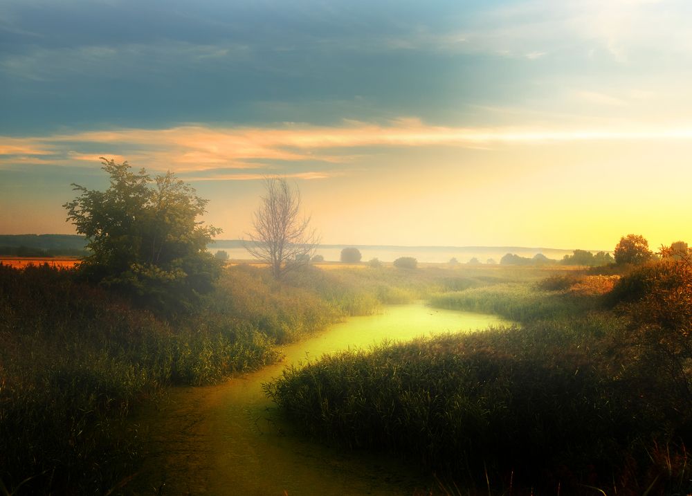 Photograph by Сергей Абашкин