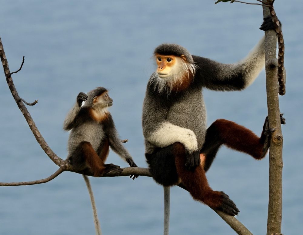 Photograph by Владимир Цветов