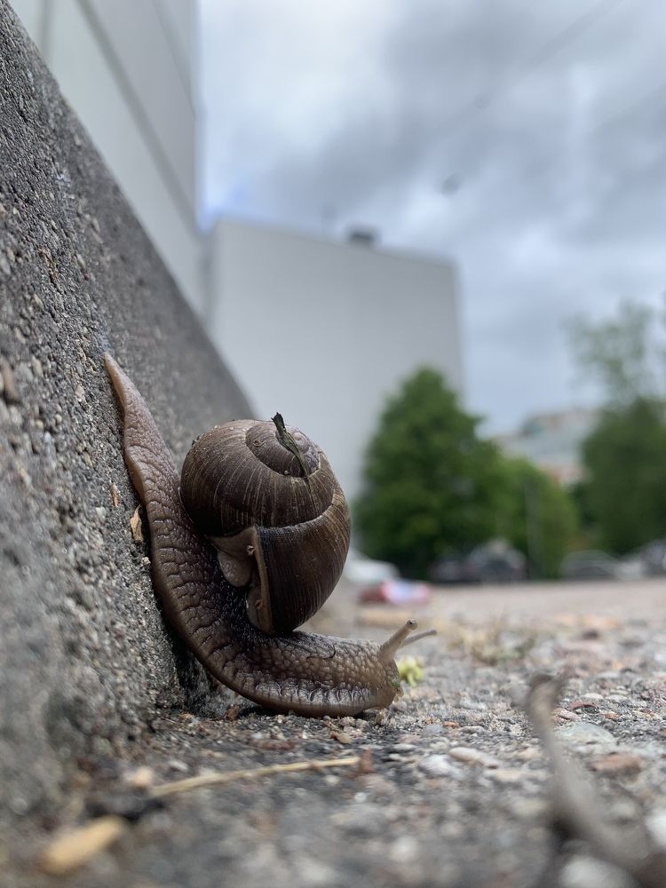 Photograph by Кирилл