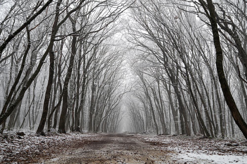 Photograph by Иван Новиков