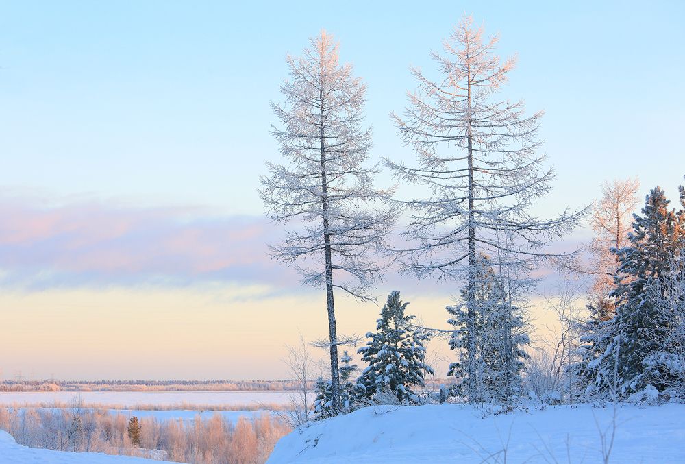 Нежное зимнее утро
