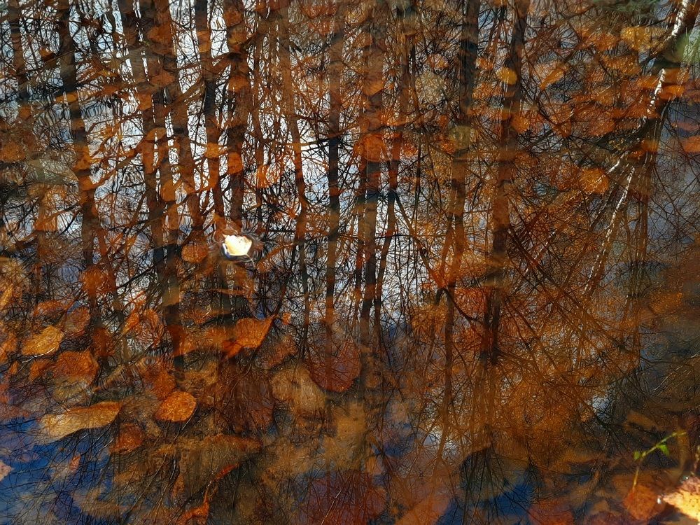 Photograph by Ольга Михайлова