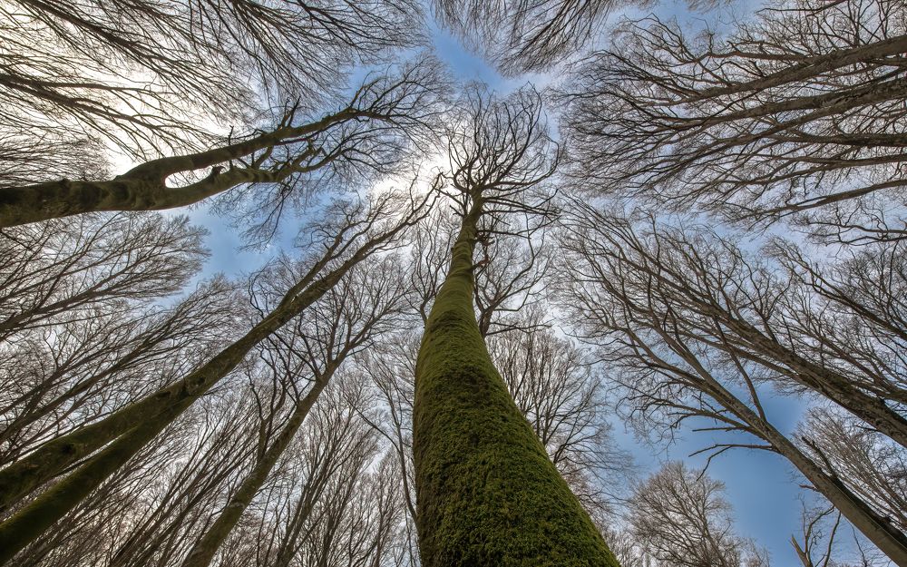 Photograph by Roberto Miniero