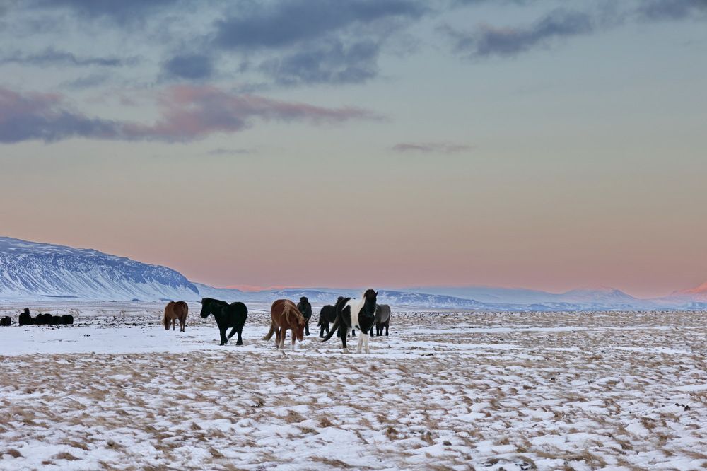 Photograph by Tatiana Serova