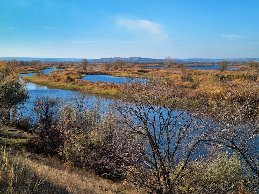 Волжские протоки