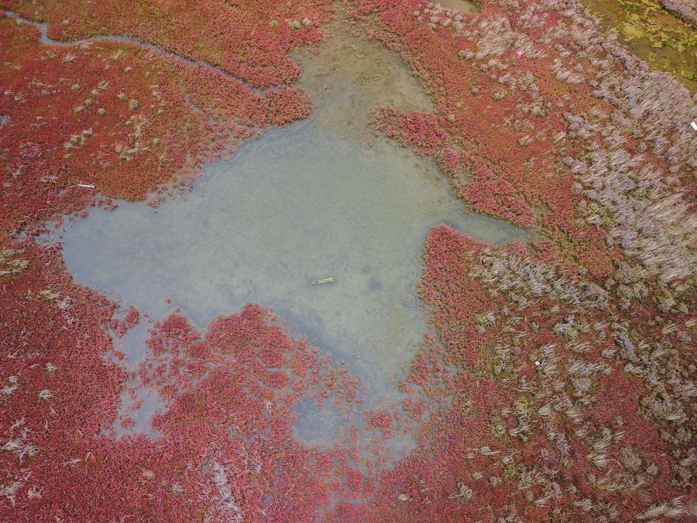 Photograph by Максимова Дария