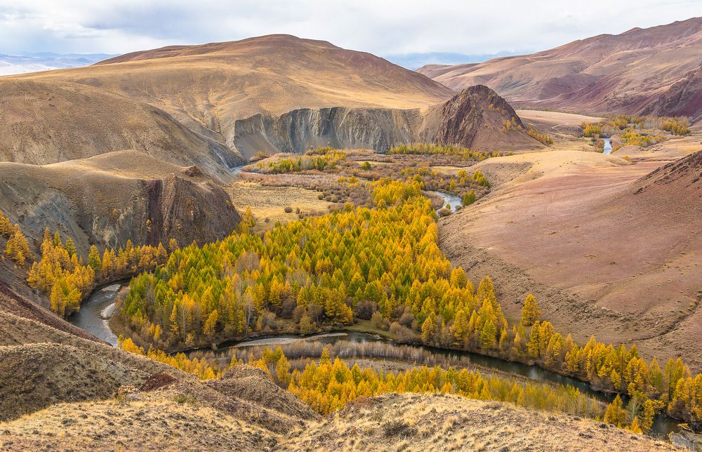 Photograph by Татьяна