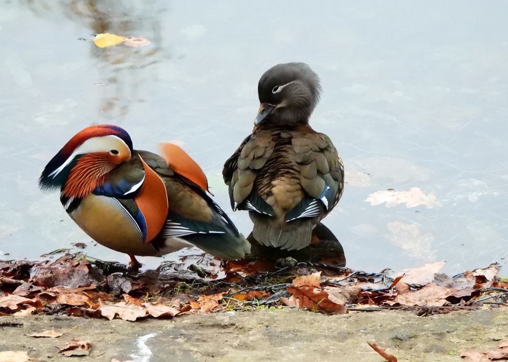 Photograph by Татьяна ТУРСКАЯ