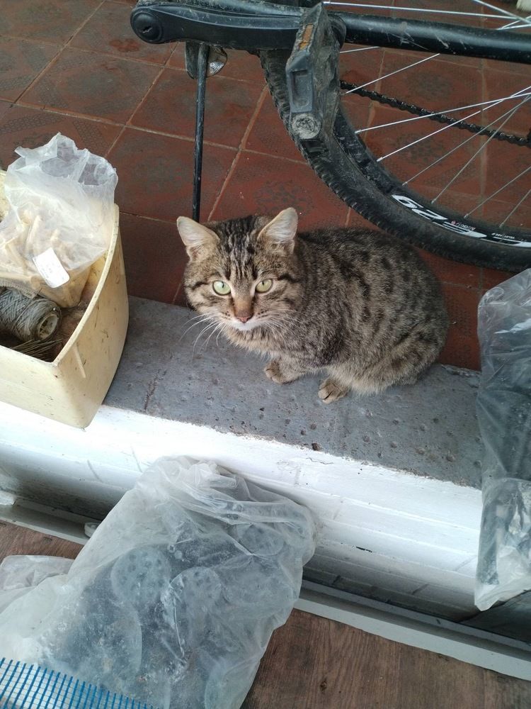 Photograph by Владислава Кузнецова