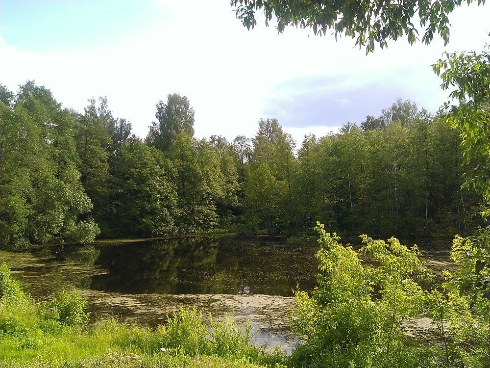 Photograph by Мария Симоненко