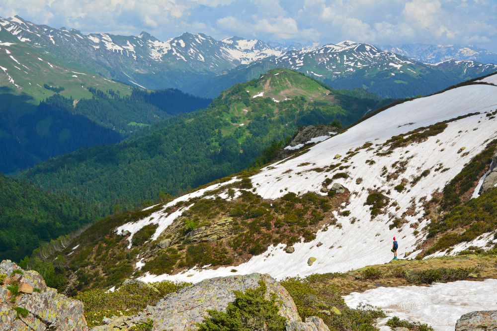 Photograph by Ольга Колосова