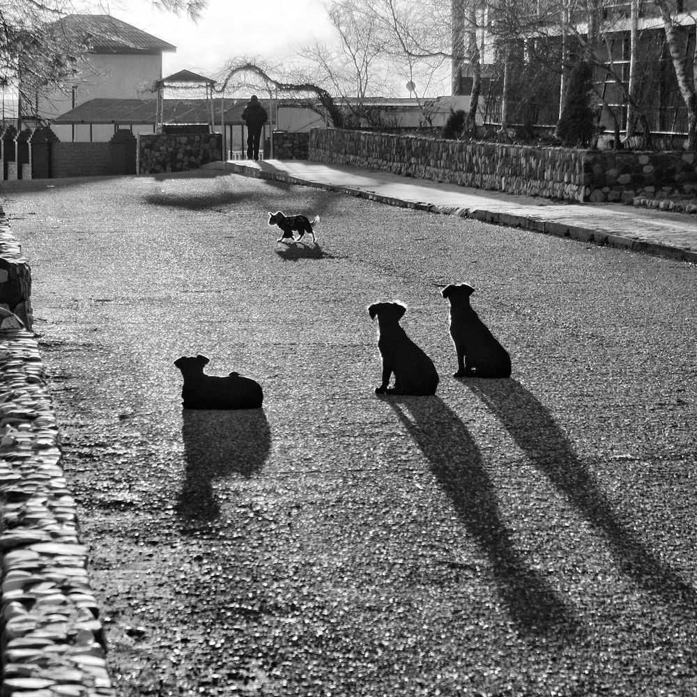 Photograph by Дмитрий Фисенко