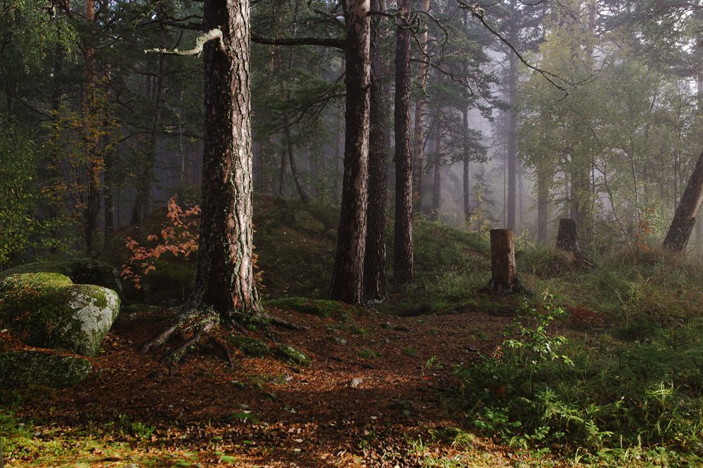 Photograph by Базуев Марк