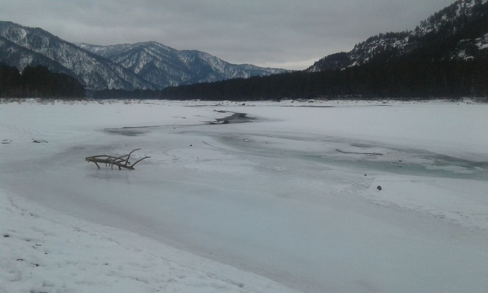 Photo #8947168