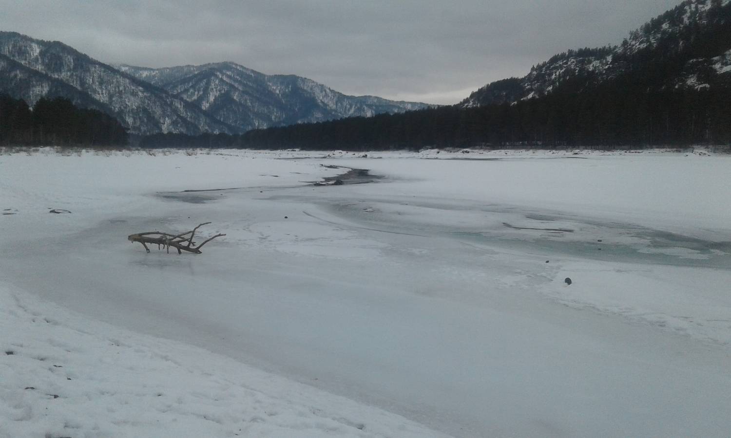 Photo #8947168