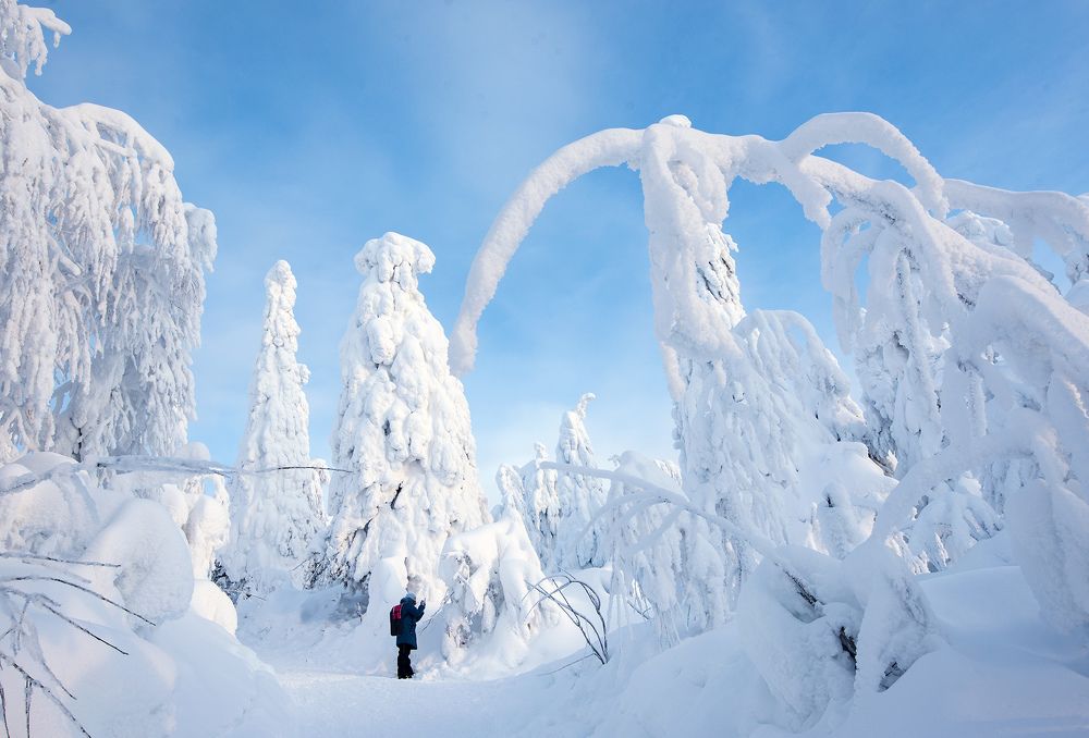 Фотография автора Сергей Сынтин
