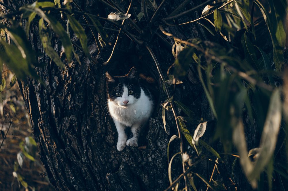 Photograph by Иван Можако