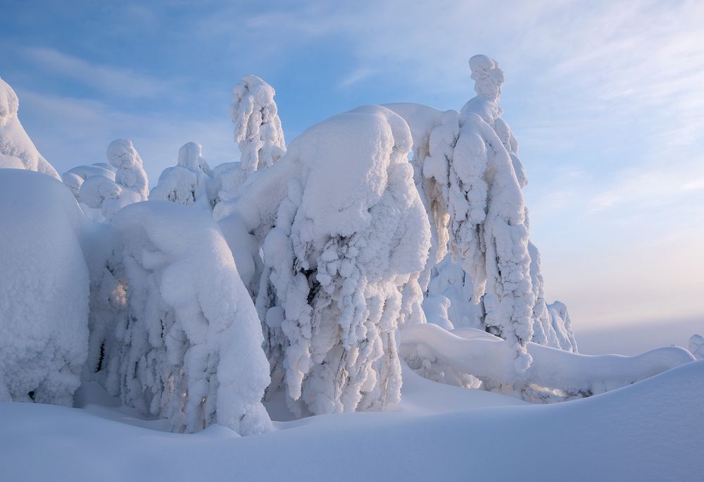 Фотография автора Сергей Сынтин