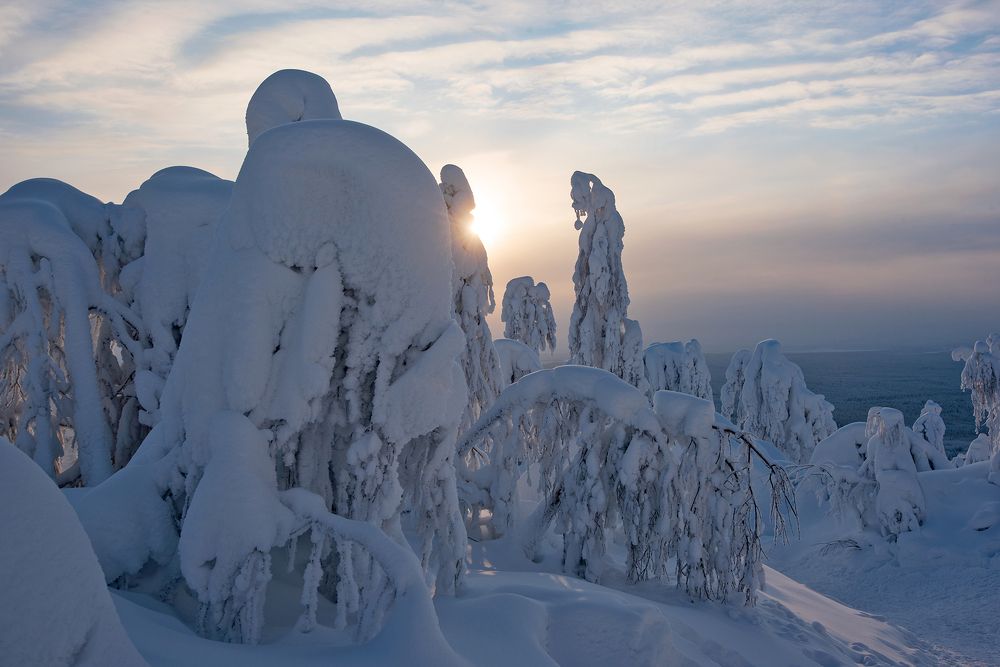 Фотография автора Сергей Сынтин