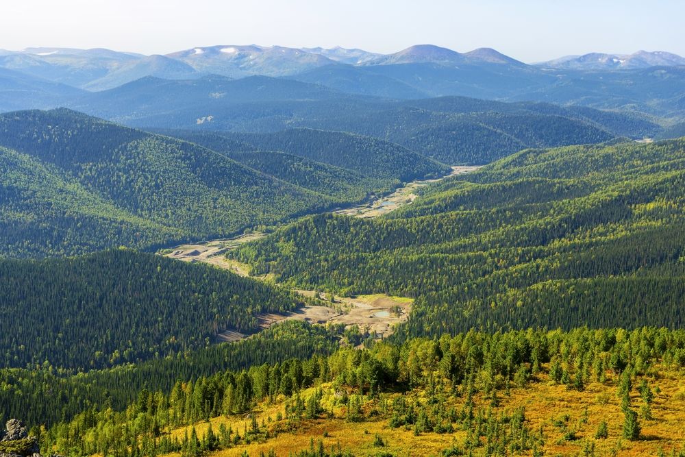 Золотая долина