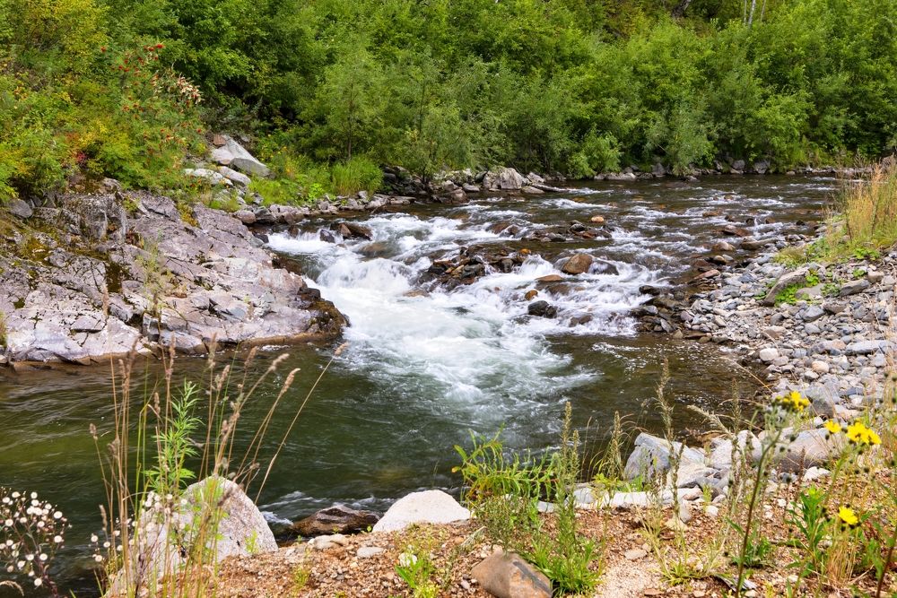 Photograph by Юрий Тимофеев