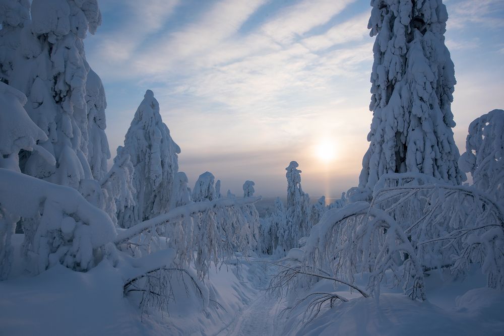 Фотография автора Сергей Сынтин