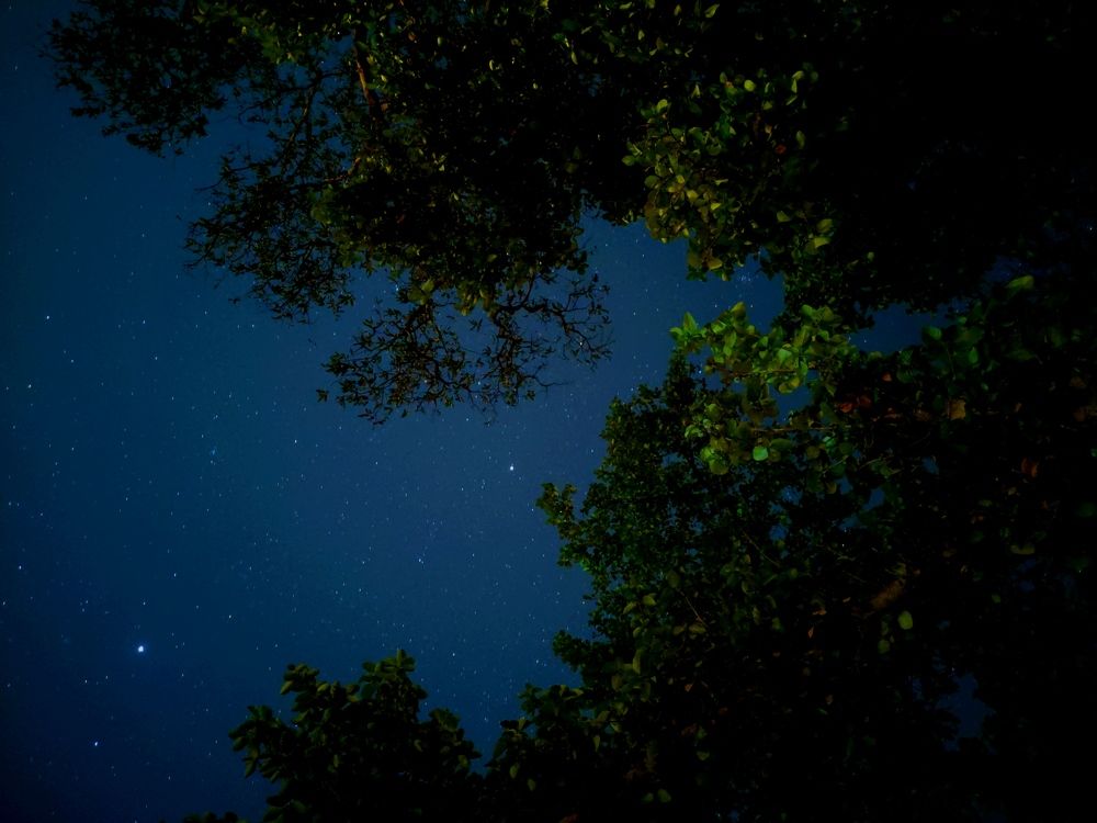 Photograph by Rohit Singh