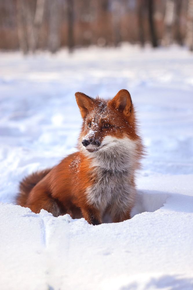 Photograph by Маргарита Федурина