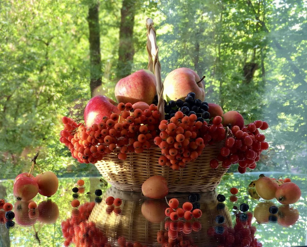 Photograph by Galina Gorshkova