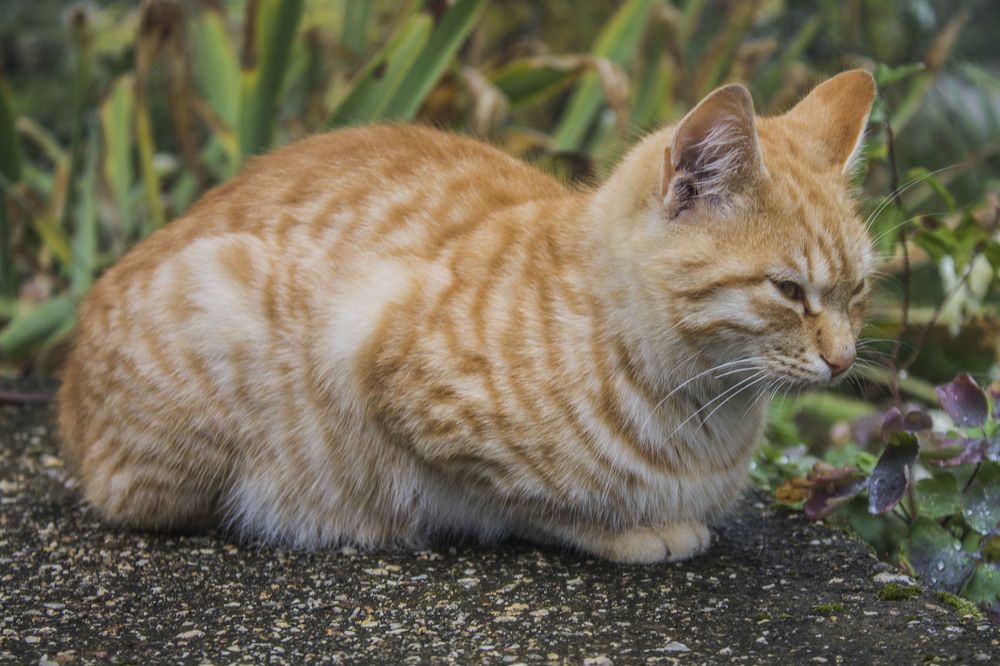 Photograph by iliya levkov