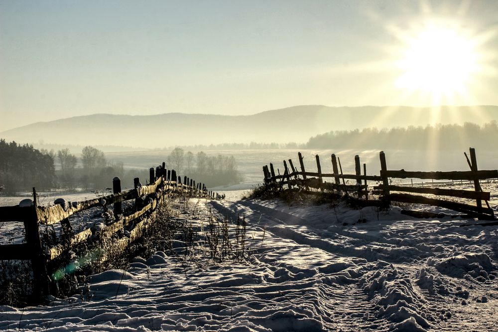 Photograph by Михаил Четвертков