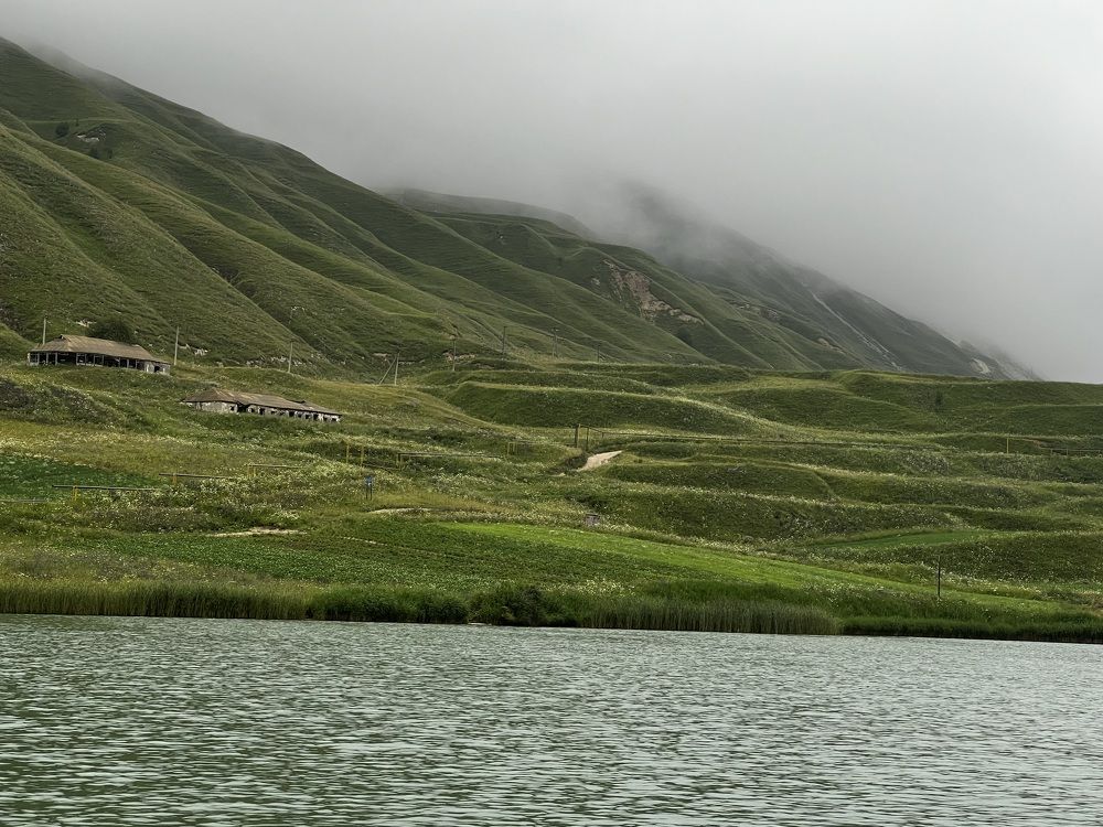 Photograph by Ольга Гущина