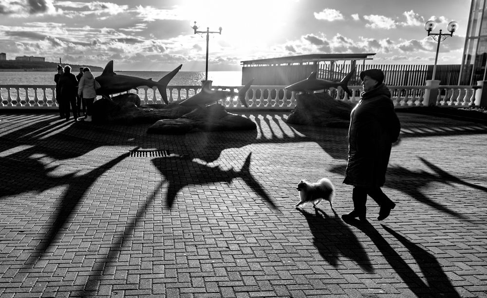 Photograph by Дмитрий Фисенко