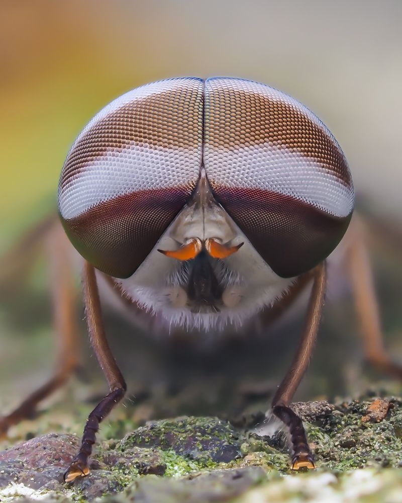 Photograph by Hardeep Solanki