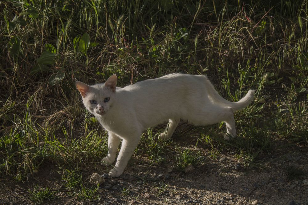 Photograph by iliya levkov