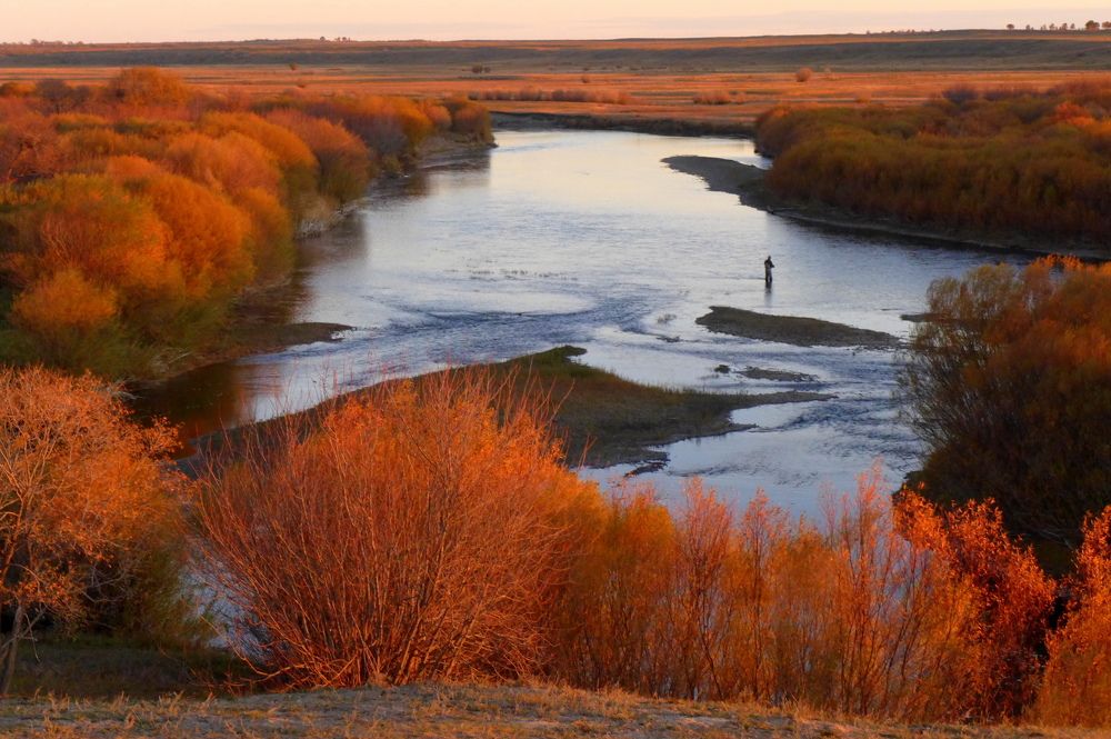 Photograph by Jan Haman