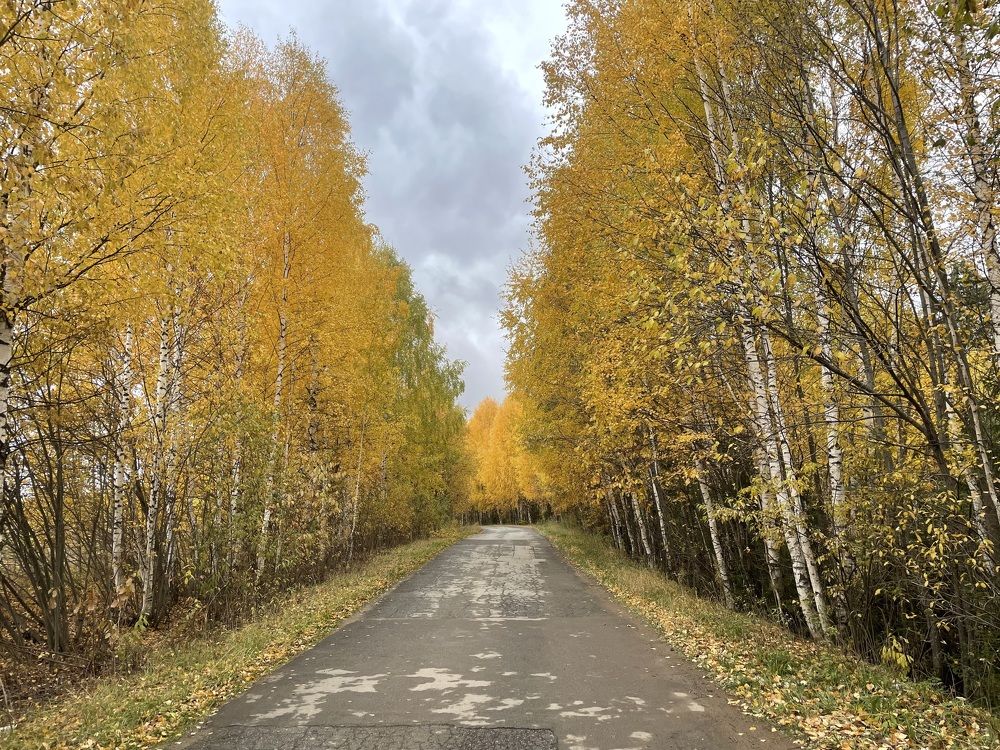 Photograph by Ольга Гущина